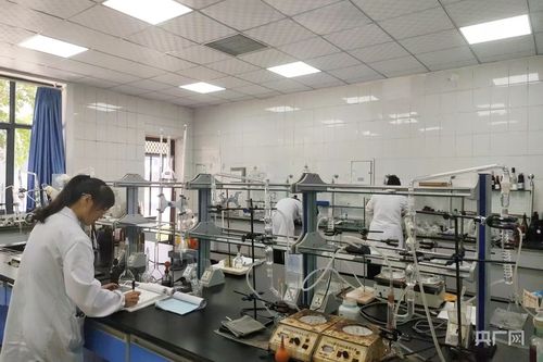 種釀游創新鏈 綻放絲路醇香新魅力